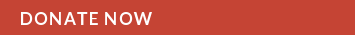 donatenow2